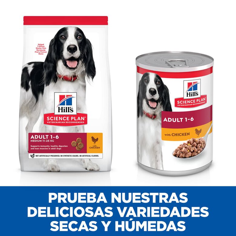 Hill's Science Plan Adult pollo lata para perros, , large image number null